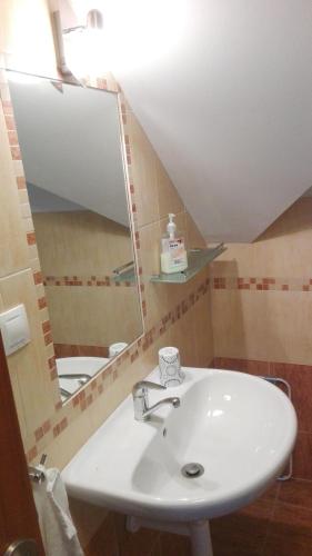 a bathroom with a sink and a mirror at Penzion Kabourek in Vítkovice