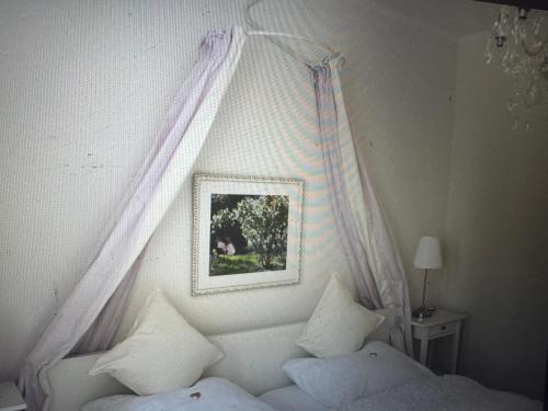 トラフェミュンデにあるKapitänshausの枕付きのベッドの上に天蓋付きの寝室