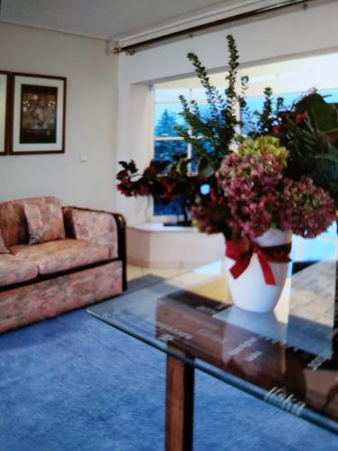 Posezení v ubytování Spring Harmony Trikala Pigi