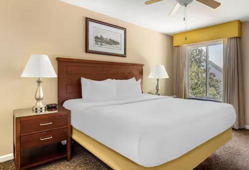 威廉斯堡The Historic Powhatan Resort的卧室里有一张白色的大床和一扇窗户