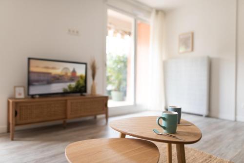 TV a/nebo společenská místnost v ubytování T2 Blagnac 1-4p AiRBUS Toulouse CLIM & Parking