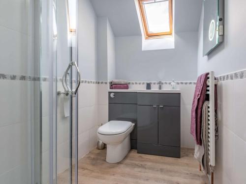 a bathroom with a toilet and a sink and a shower at 1 bed in Machynlleth 85207 in Darowen