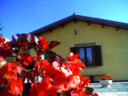 La Quiete – Photos 4