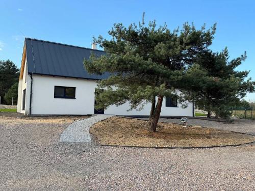 Chalupa u lesa Rasochy 83