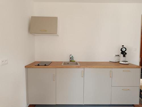 Kuchyň nebo kuchyňský kout v ubytování Chez Marguerite & Alphonse 2 pièces proche Colmar