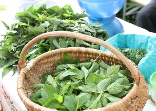 Foto dalla galleria di La Nave Monteggio a Monteggio