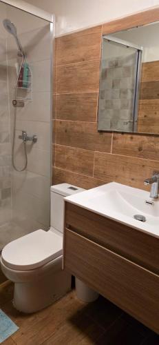 a bathroom with a toilet and a sink and a shower at Casa Guanaqueros in Coquimbo