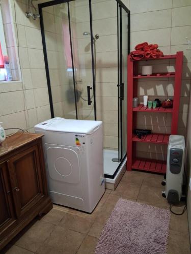a washing machine in a bathroom with a shower at NOCLEGI AGRO-RELAX in Kozielice