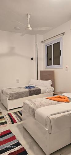 Un dormitorio con dos camas y una ventana en OBAI Nubian Guest House, en Jazīrat Aswān