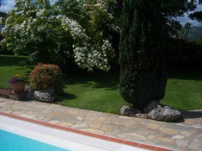 a tree and bushes next to a swimming pool at Villa Poesia in Gallicano