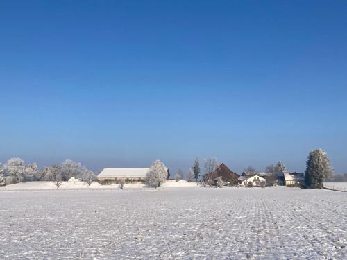 Το Wohnung Bellevue τον χειμώνα