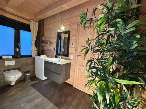a bathroom with a toilet and a sink and a plant at Harz - Blockhaus, 4 und 5 Sterne Blockhäuser, Sauna und Kamin, RH in Hahnenklee-Bockswiese
