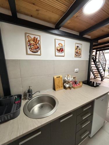 a bathroom counter with a sink in a room at La Hitana in Lazarevac