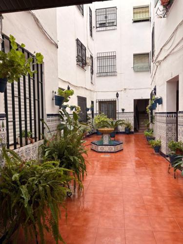 Casa Lima
