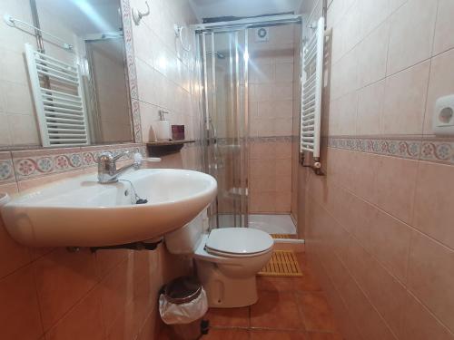 a bathroom with a sink and a toilet and a shower at Cielos de Celadas in Celadas