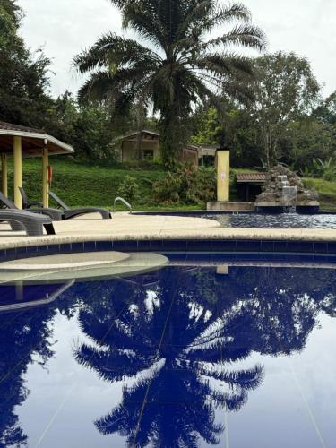 Πισίνα στο ή κοντά στο Amai Lodge