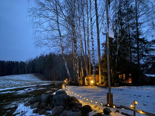 Příroda nedaleko prázdninového domu