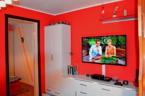a living room with a tv on a red wall at Haus Am Stein Haus 1 in Königstein an der Elbe