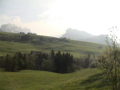 Φυσικό τοπίο κοντά σε αυτό το διαμέρισμα