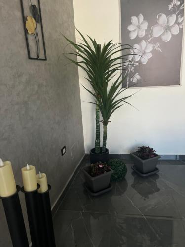 Imagine din galeria proprietății Villa Ohaio în Amman