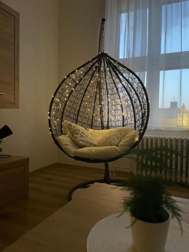 2B Perfect Cosy apartment in city centre