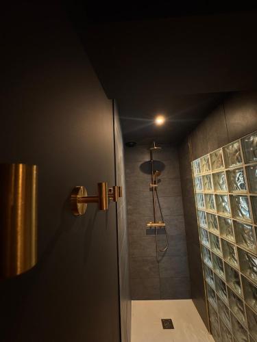 a bathroom with a shower with a glass door at Le Secret' - Balnéo - Romantique Room in Pélussin