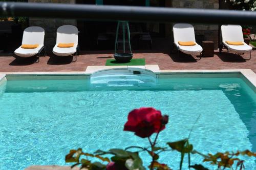 a swimming pool with chairs and a rose in front of it at Sestuccia in Gaiole in Chianti