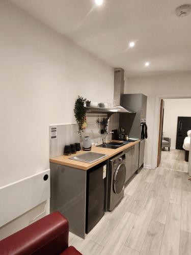 Kuchyň nebo kuchyňský kout v ubytování Posyrooms Apartment