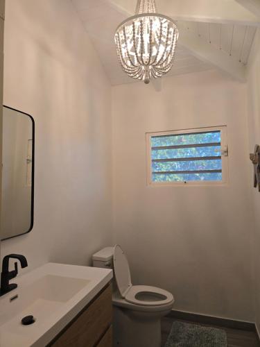 ein Badezimmer mit einem weißen WC und einem Kronleuchter in der Unterkunft Private Family Paradise Villa Ocean View With Private Pool in Kralendijk