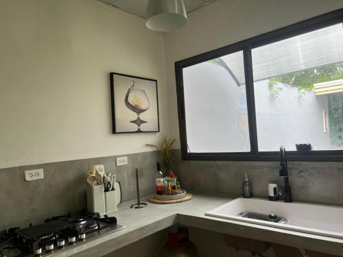 Kuchyň nebo kuchyňský kout v ubytování Villa Olivia suit