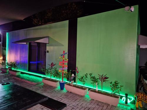 Casa Container Natureza Concept