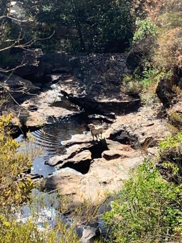 Afbeelding uit fotogalerij van Hospedaje Rural in Licantén