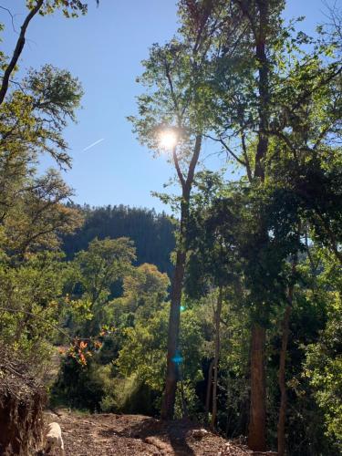 Φυσικό τοπίο κοντά σε αυτό το διαμέρισμα