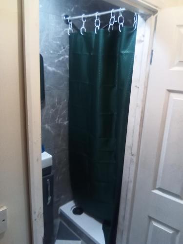a bathroom with a shower with a green shower curtain at AwayHome Guest Rooms in London
