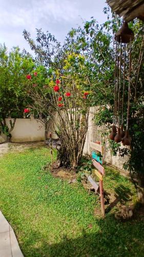 a garden with a tree with red flowers and a bench at Cabanas LA CASITA BRISA DO MAR in Navegantes