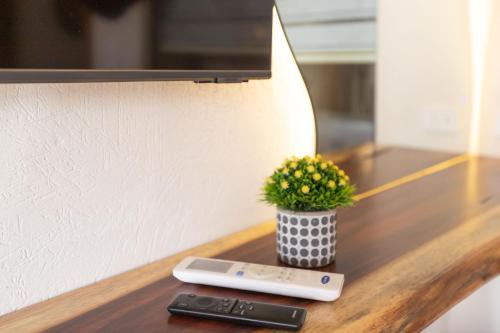 a remote control and a plant on a table at ONE GATE Pyramids View INN in Cairo