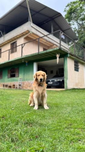 un perro sentado en el césped delante de una casa en Recanto do majo, en Petrópolis