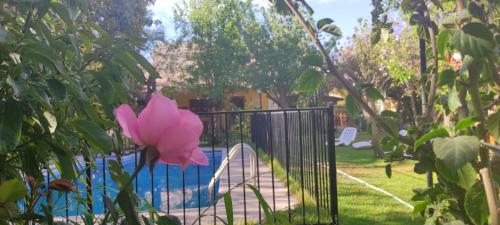 Φωτογραφία από το άλμπουμ του Hotel Halley & Vicuña, Valle de Elqui σε Vicuna