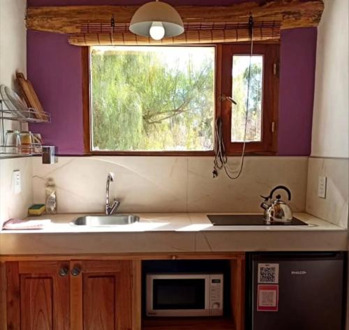 Kuchyň nebo kuchyňský kout v ubytování Pucara Taki