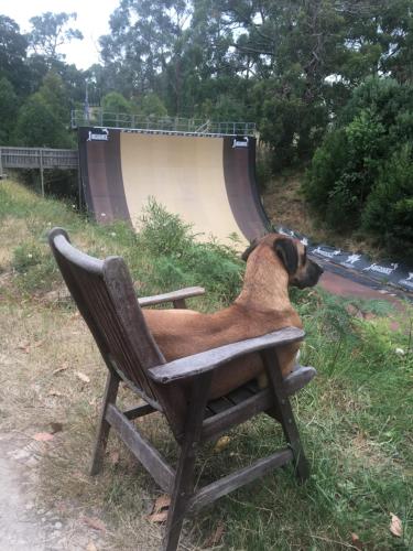 Fotografie z fotogalerie ubytování Private Accommodation at the Megaranch v destinaci Nyora