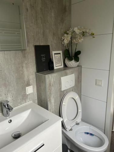 a bathroom with a toilet and a sink and a vase with flowers at Moderne chalet met hottub in Lathum