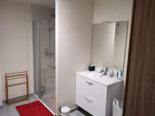 une salle de bain blanche avec lavabo et douche dans l'établissement Appartement 2 pièces avec jardin et parking, proche Thermes et ski - FR-1-858-18, à Mont-Dore