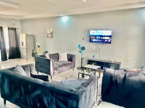 TV a/nebo společenská místnost v ubytování Fully serviced apartments solwezi