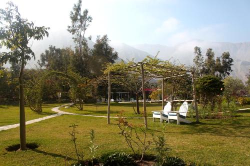a bench in a park with a mountain in the background at Hotel Los Palomos in Lunahuaná