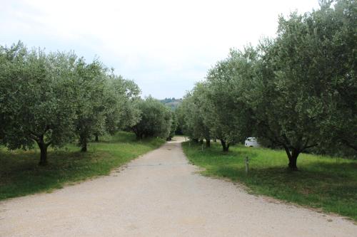 a dirt road with trees on either side at Agriturismo Spigolo in Avesa