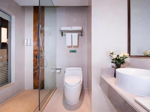 een badkamer met toilet en wastafel bij Vienna Hotel Yunnan Lijiang Ancient City in Lijiang