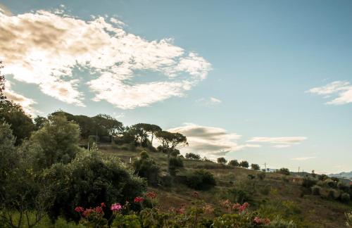 RutinoにあるSuite16の花木の丘の景色