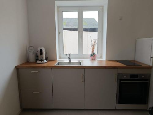 Η κουζίνα ή μικρή κουζίνα στο Le Petit Baz'Art 2 pièces proche Colmar