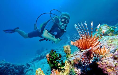a person in the ocean with a lion fish at La Isla Bonita in Guraidhoo