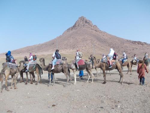 Bivouac Draa في زاكورة: مجموعة من الناس يركبون الخيل في الصحراء